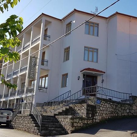Parnon Hotel Agios Petros  Exterior foto